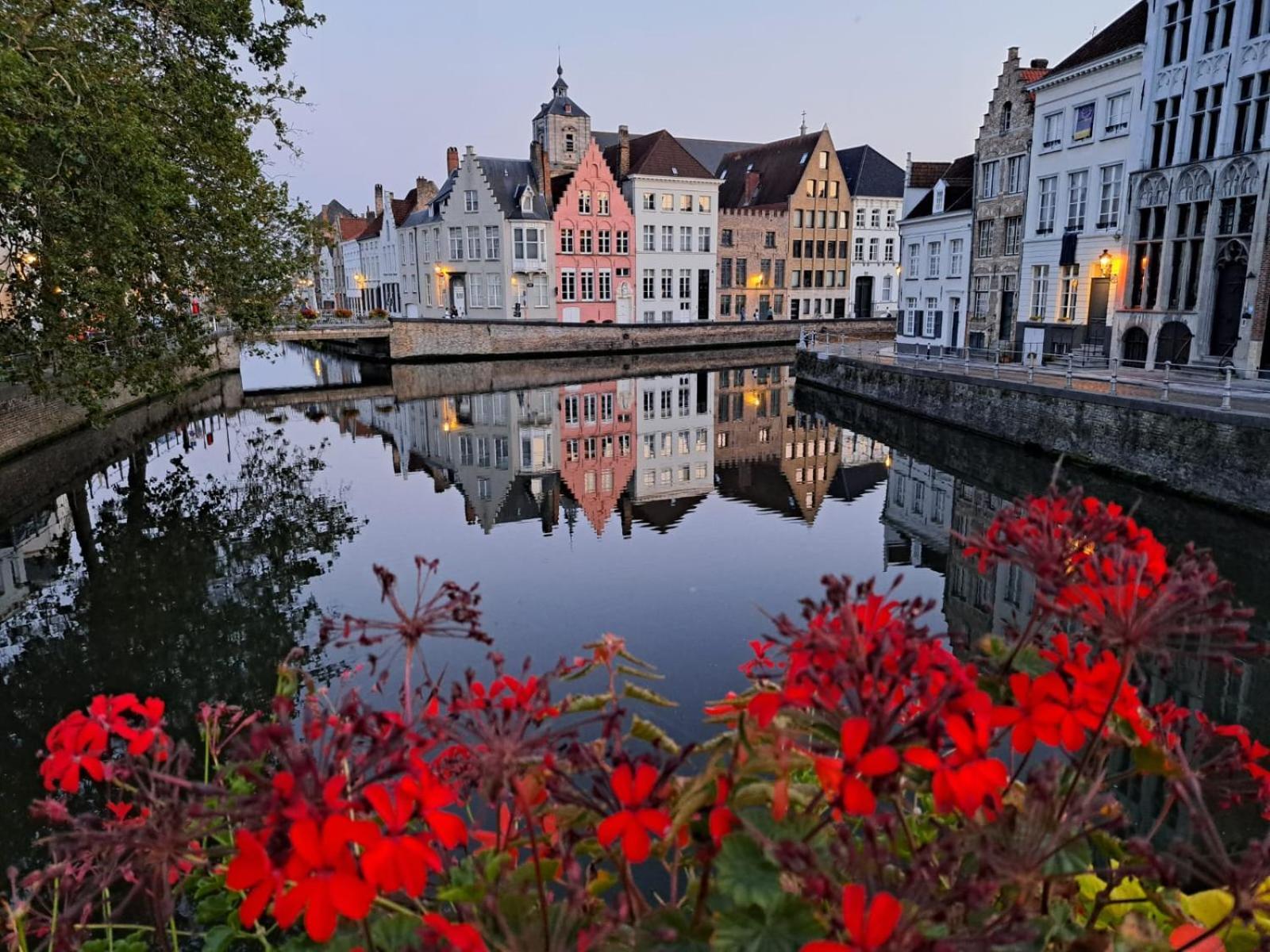 Butterfly Bed & Breakfast Bruges Exterior photo
